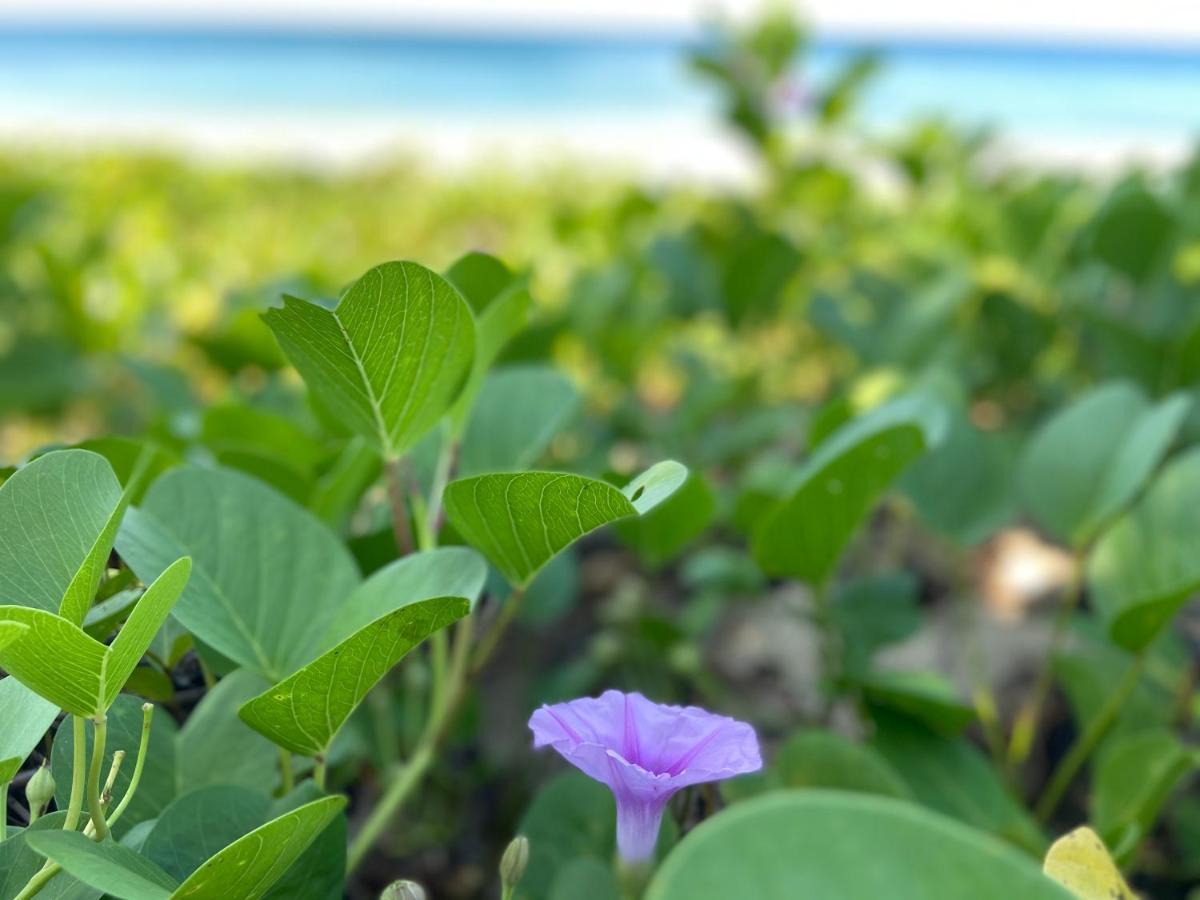 Lanta Smile Inn Ko Lanta エクステリア 写真
